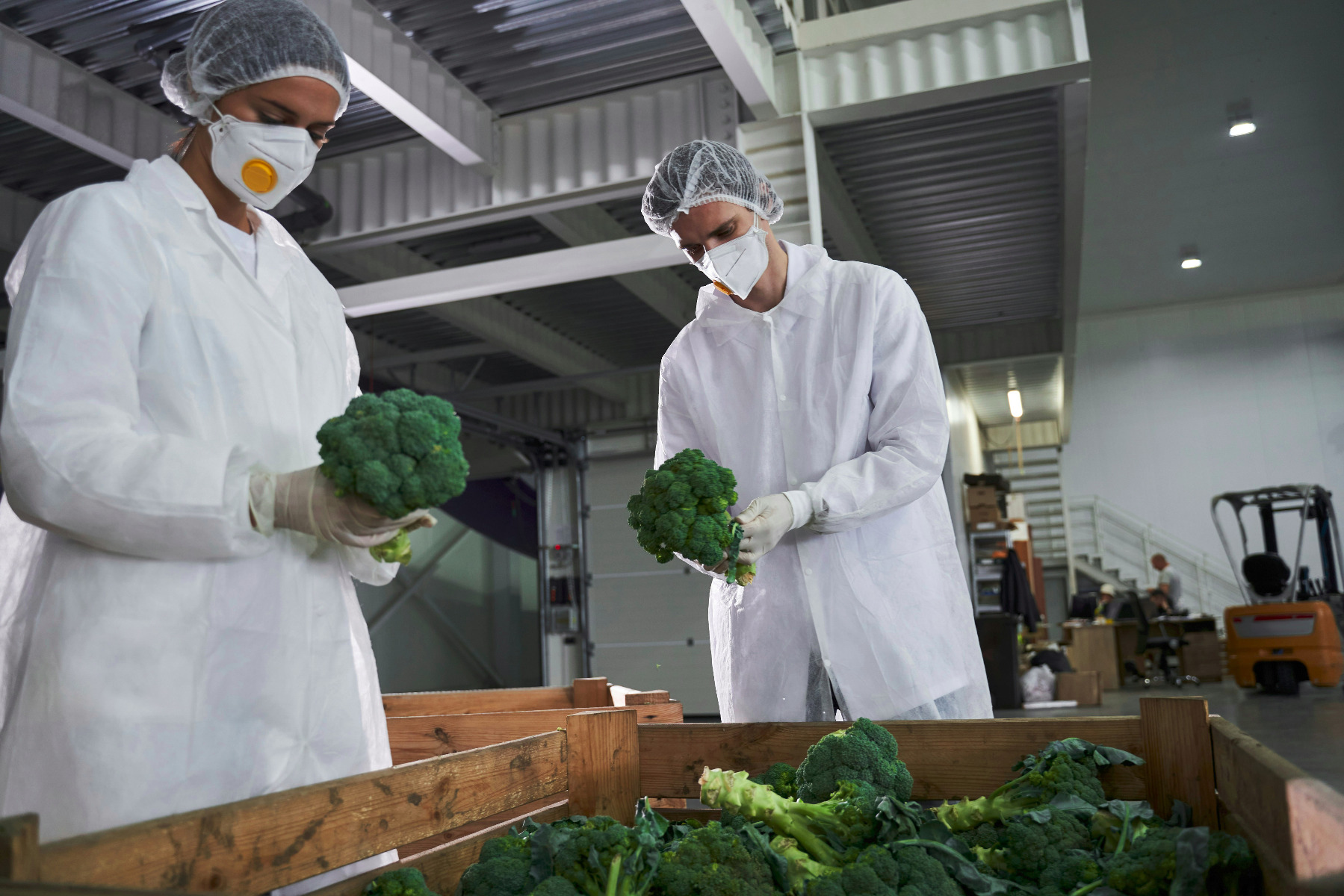 Traceability and Transparency with Certified Food Safety Team